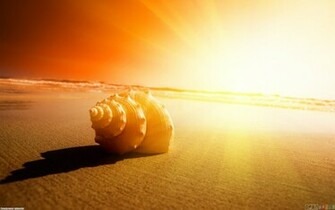 Sunny Beach Wallpaper Open Walls