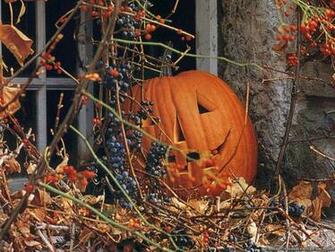 Halloween Pumpkin Wallpaper Crazy Frankenstein
