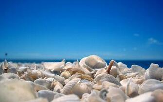 Description Sea World HD Wallpaper Is A Hi Res For Pc