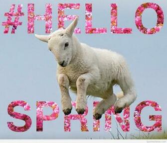 First Day Of Spring Quotes Wallpaper And Flowers Photos