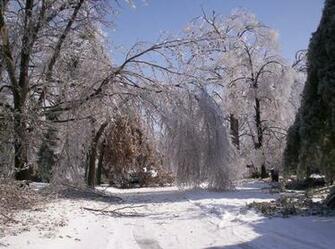 Ice Storm In Arkansas Desktop And Mobile Wallpaper Wallippo