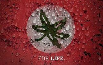 Buckeye Wallpaper Image