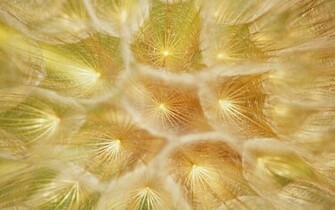 Fondos De Windows Wallpaper Gratis Img3 Jpg Ver Imagen Ajustada