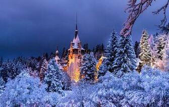 Wallpaper Winter Forest The Evening Romania Sinai Peles