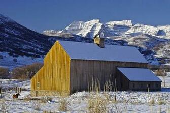 Winter Scenes