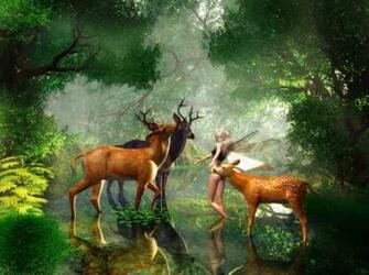 Most Beautiful Animal Desktop Wallpaper For Widescreen Computer