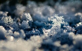 Snow Crystal Wallpaper