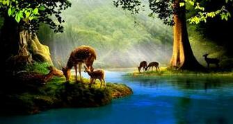 Deer Animals HD Wallpaper Mobile