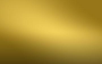 Award Consulting Wise Flys