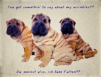 German Women And Botox Realize Magazine Mindbodydevelopment