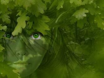 Green Eyes Computer Wallpaper Desktop Background