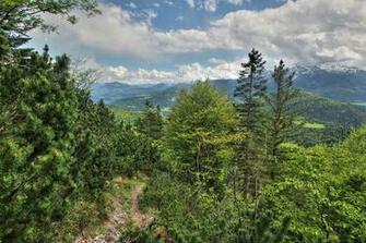 Through The Wilderness By Burtn