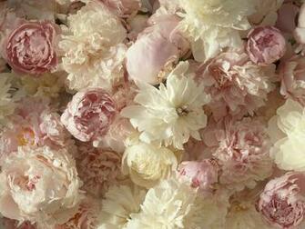 Wallpaper Rossyp White Peonies 3d For Desktop