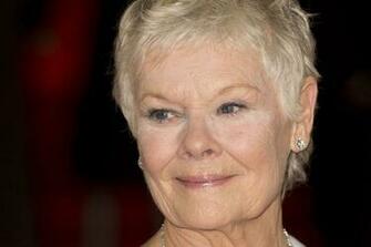 Judi Dench HD Wallpaper 7wallpaper Net