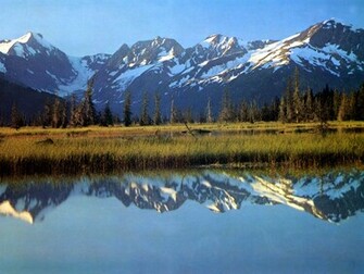 X By Popularity Alaska S Critters