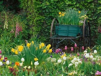 Spring Flower Garden Desktop Background Pixdaus