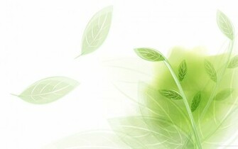 Light Green Wallpaper