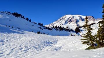 Winter HD Background Mt Rainier Wallpaper Teahub Io
