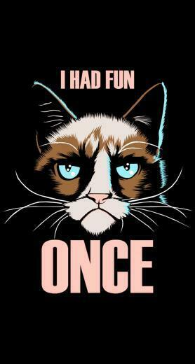 Grumpy Cat I Had Fun Once iPhone Plus HD Wallpaper Ipod