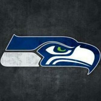 Seattle Seahawks Grungy Wallpaper For Apple iPad