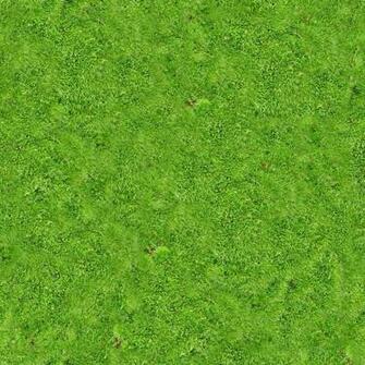 Green Grass Field Vegetation Lawn Grassland Carpet