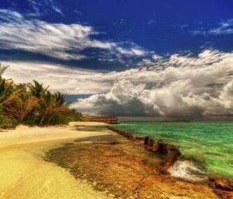 Nature Android Wallpaper Set