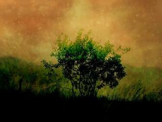 High Definition Wallpaper