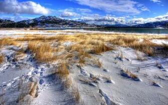 Snow Field Wallpaper