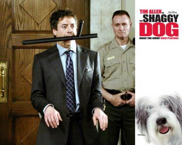 The Shaggy Dog Wallpaper Wallpoper