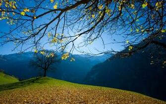 Nature S Wallpaper