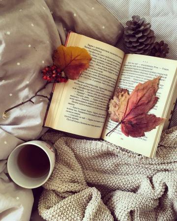 October Autumn Photography Book Cozy