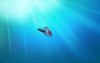 Windows Beta Fish Wallpaper