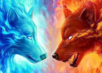 Fire And Ice Wolf Picture Wallpaper