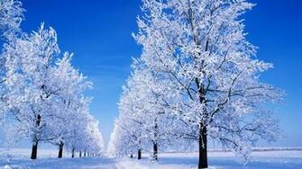 Winter Snow Scenes Desktop