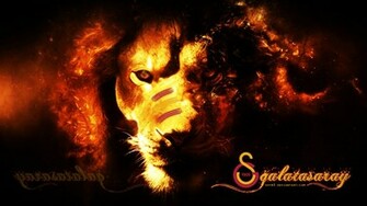 Galatasaray Aslan Wallpaper HD