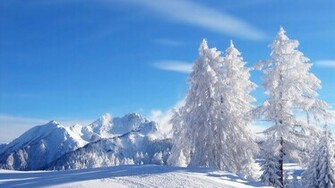 Winter Beautiful