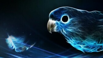 Parrot Wallpaper By Sygnia