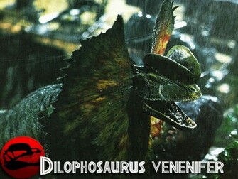 Jp Wallpaper Part Jurassic Park