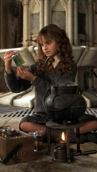 Hermione Granger Harry Potter And The Chamber Of Secrets Wallpaper