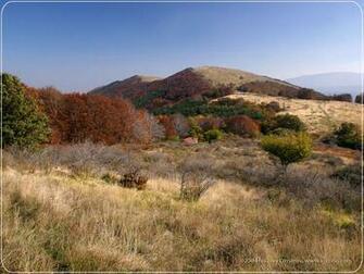 Landscape Wallpaper