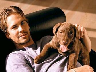 Paul Walker Actor Of The Movie Fast And Furious