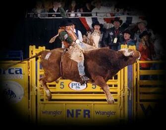 Pbr Bull Riding Wallpaper Related Keywords Amp Suggestions