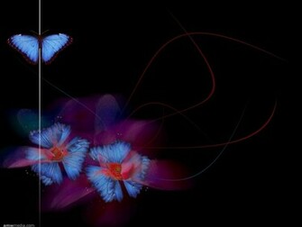 Black Butterfly Flower Pink Wallpaper Background