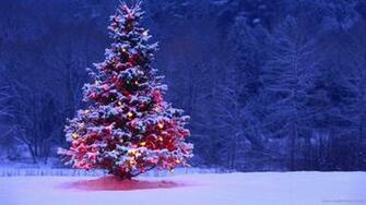 Wallpaper Christmas Scenes Image