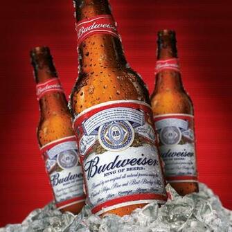 Budweiser Logo Wallpaper Pelauts