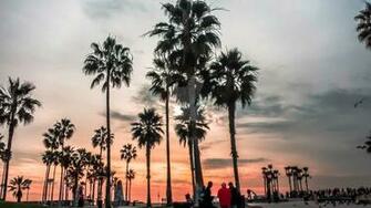 Golden State Of Mind Venice Beach Ca By Habiss On