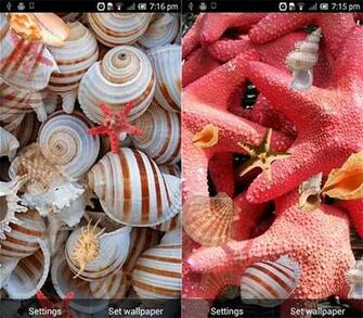 Under The Sea S Play Google Store Apps Details Id