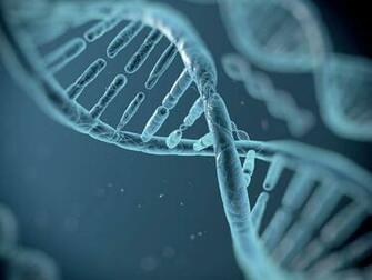 Computer Biology Wallpaper Desktop Background Id