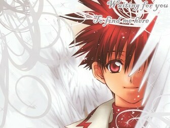 Dn Angel Wallpaper Niwa Daisuke