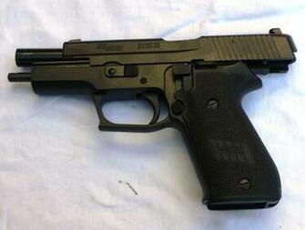 Sig Sauer P220 Graphics Code Comments Pictures